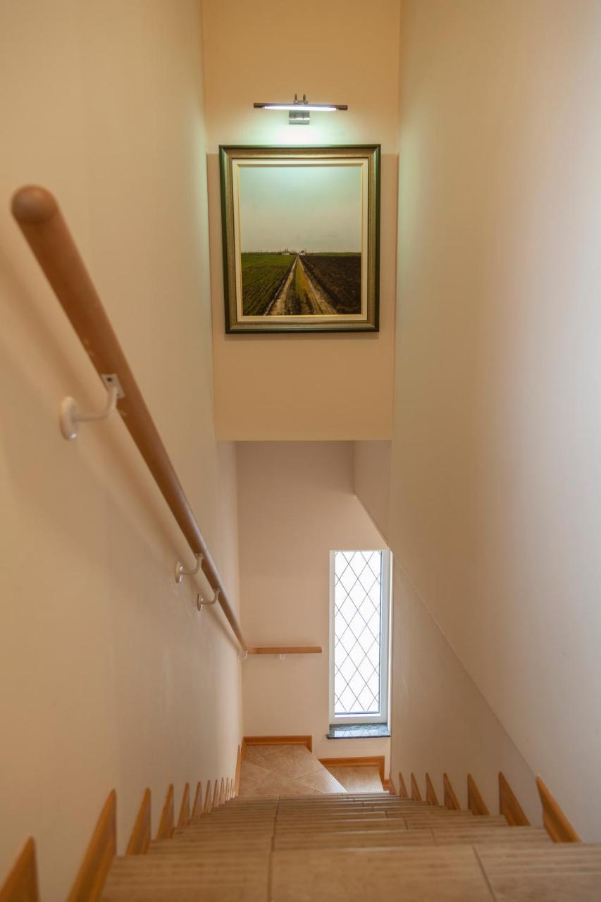 Dc Executive Homes Novi Sad Bagian luar foto